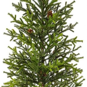 Creativ deco Künstlicher Weihnachtsbaum, Im Topf