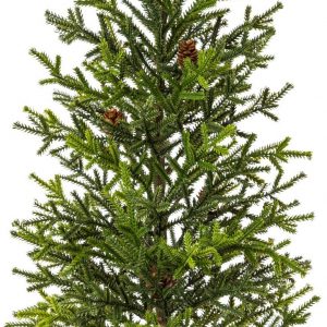 Creativ deco Künstlicher Weihnachtsbaum, Im Topf