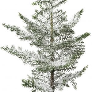 Creativ deco Künstlicher Weihnachtsbaum »Zimmertanne im Topf«, beschneit, Höhe ca. 64 cm