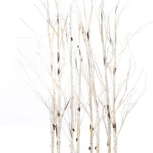 Myflair Möbel & Accessoires LED Baum »Divid«, Warmweiß, Raumteiler mit zahlreichen warmweißen LEDs