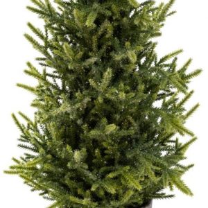 Schneider Künstlicher Weihnachtsbaum, Tannenbaum mit Glitter, Höhe 50 cm