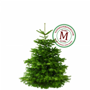 Weihnachtsbaum Nordmanntanne M 125-150cm