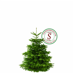 Weihnachtsbaum Nordmanntanne S 100-125cm