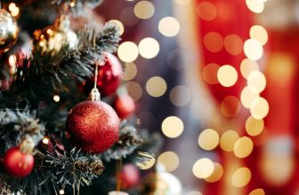 Fünf Naturschutztipps vom NABU für Weihnachten und Silvester