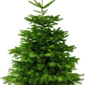 Weihnachtsbaum 150-175 cm Tannenbaum Christbaum Nordmanntanne geschlagen