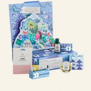The Body Shop Adventskalender Adventskalender 2023 Frauen – Beauty Kosmetik Advent Kalender (Kosmetik Set), Pflege Weihnachtskalender Frau, Adventkalender Damen, The Body Shop