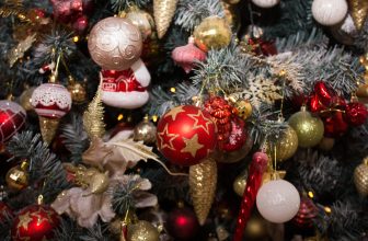 Von der Wurzel bis zur Krone – Adventskalenderideen rund um den Tannenbaum
