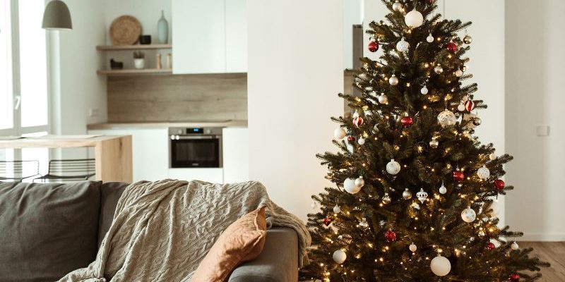 Tannenbaum entsorgen – diese Möglichkeiten gibt es zur sachgerechten Entsorgung