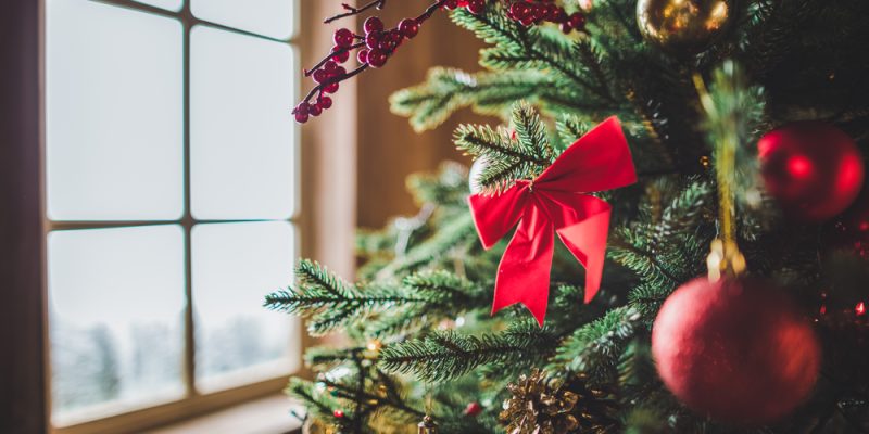 Tannenbaum schlagen in Hamburg: Die besten Tipps