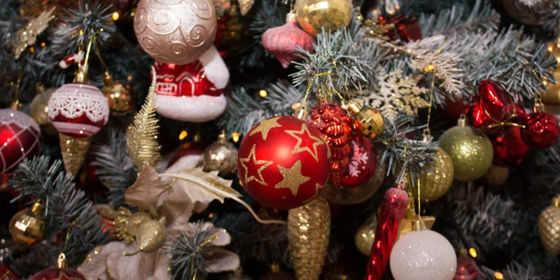 Von der Wurzel bis zur Krone – Adventskalenderideen rund um den Tannenbaum