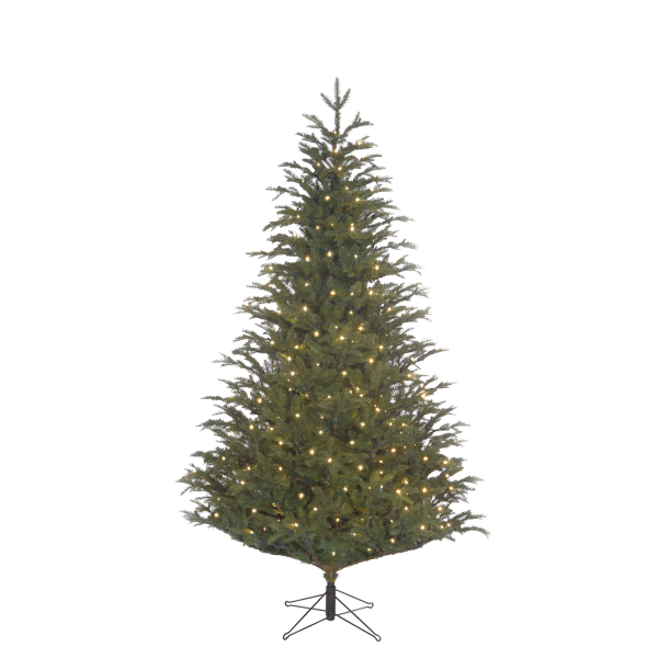 Black Box Trees LED-Tannenbaum ‘Fraiser’ grün 215 cm
