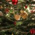 Warum feiern wir Weihnachten?