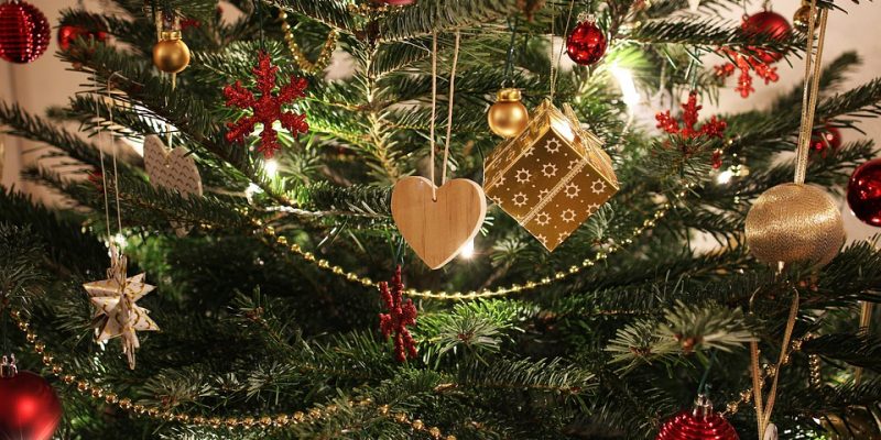Pro und Contra echter Weihnachtsbaum