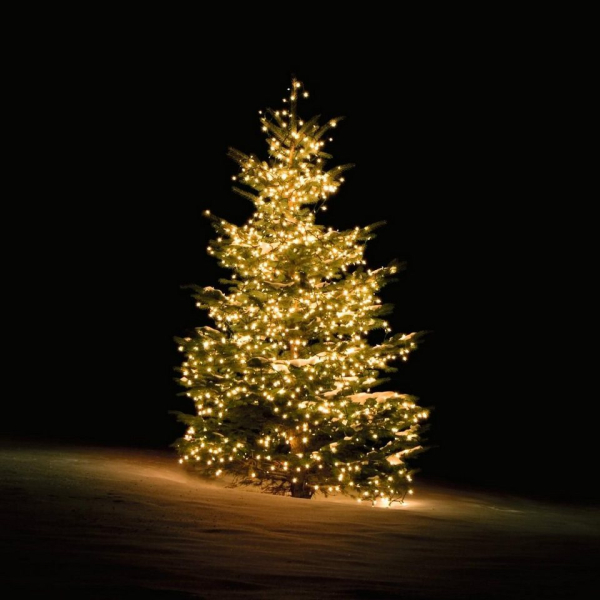 DELTACO SMART HOME Lichterkette »Smarte Weihnachtsbaum-Lichterkette warmweiß (TUYA System, Smart Home, mit 300 LEDs, 2 m, WiFi kompatibel)«