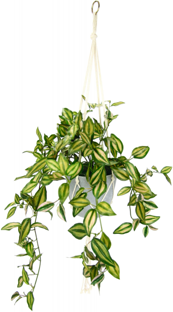 I.GE.A. Kunstpflanze »Tradeskantie«, (1 St.), Tradescantiahängeampel