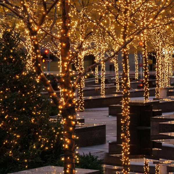 interGo LED-Lichterkette »50m 250 LED Lichterkette außen Warmweiß Lichtervorhang Lichternetz Weihnachtsbeleuchtung Weihnachtsdeko Tannenbaum…