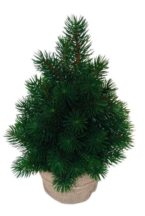 sesua Künstlicher Weihnachtsbaum »Weihnachtsbaum Tannenbaum Christbaum sehr echt wirkend«