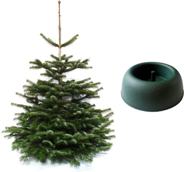 Weihnachtsbaumland Echter Weihnachtsbaum »Nordmanntanne inkl. Mini-Baumständer«, Nordmanntanne, Höhe ca. 100 bis 120 cm